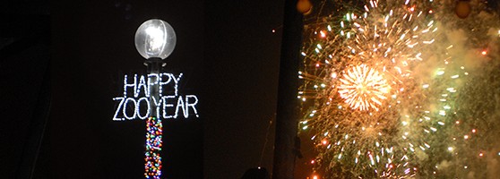 CintiZooYearCincinnati Zoo New Years Eve Countdown 2 - Family Friendly