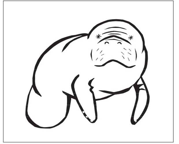 manatee coloring pages - photo #22