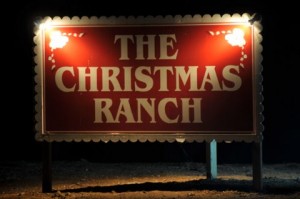 Photo credit goes to The Christmas Ranch.