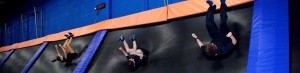 Skyzone 2