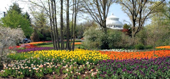 Celebrate the beginning of spring with the opening of Zoo Blooms at the Cincinnati Zoo starting Tuesday, April 1 (open daily through April 30). 