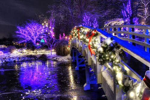 Creation Museum Lights