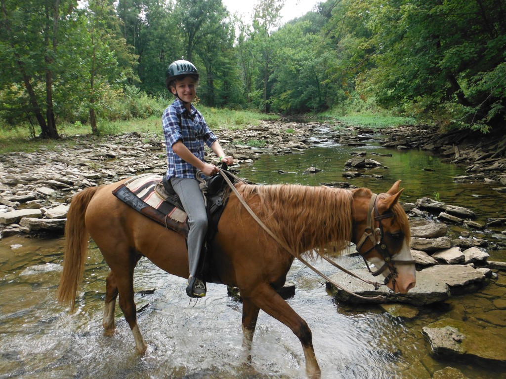 horse crossing Gunpowder