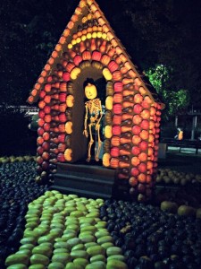 HalloWeekends Cedar Point Gourds and Pumpkins