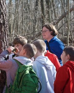 great-parks-of-hamilton-tree-hike