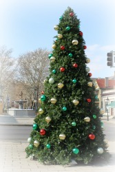 MainStrasseTree