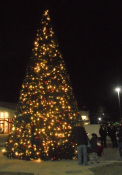 DeerfieldTreeLighting