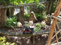 Highfield Discovery Garden Train