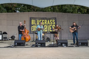 bluegrass babies483