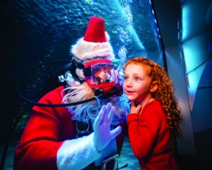 Newport_Aquarium_Scuba_Santa_Ad_CMYK_HR_-2015_Steve_Ziegelmeyer--6035