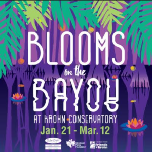 Blooms on the Bayou FI